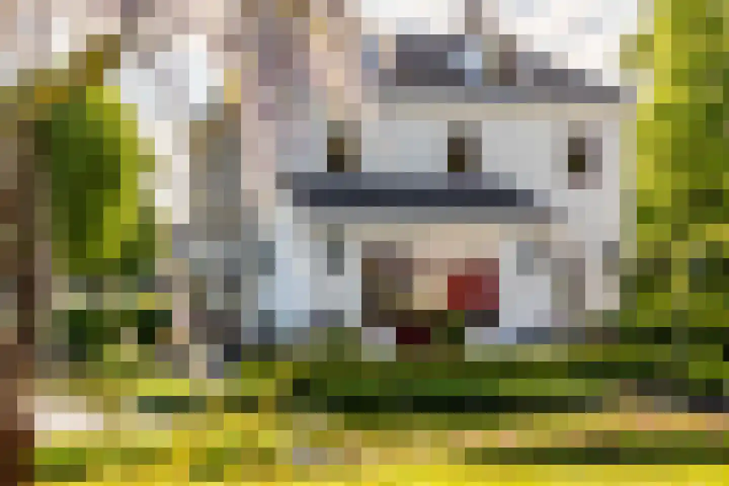 Smitsweg 1 Hellevoetsluis thumbnail 54