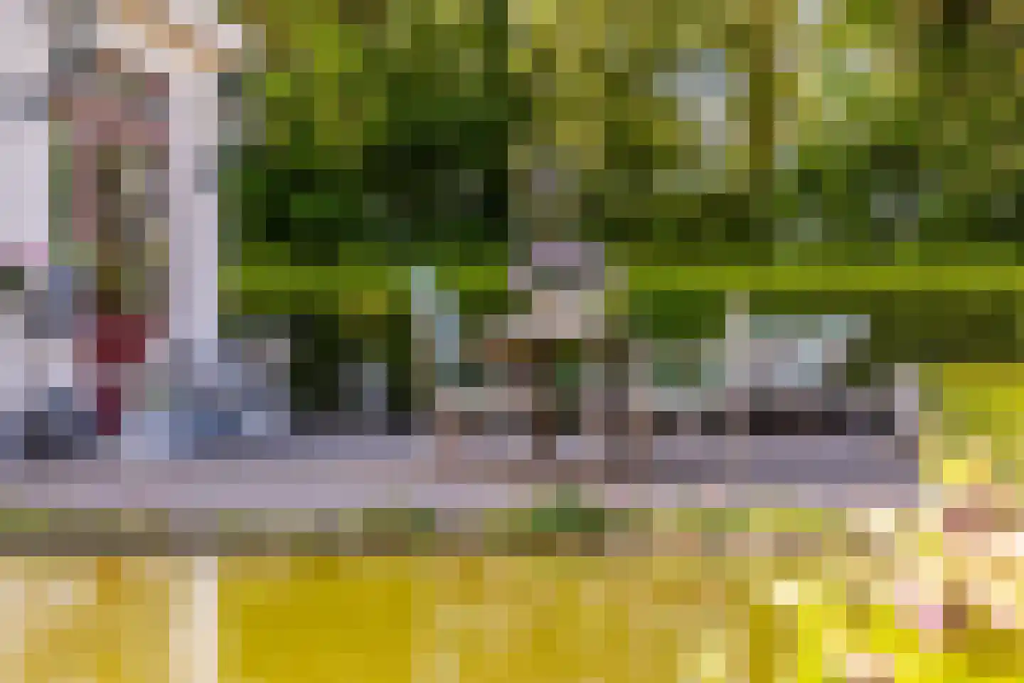 Smitsweg 1 Hellevoetsluis thumbnail 56