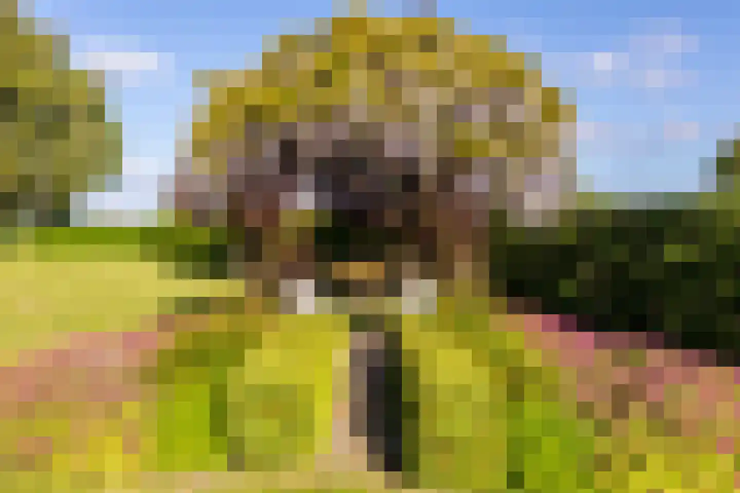 Smitsweg 1 Hellevoetsluis thumbnail 59