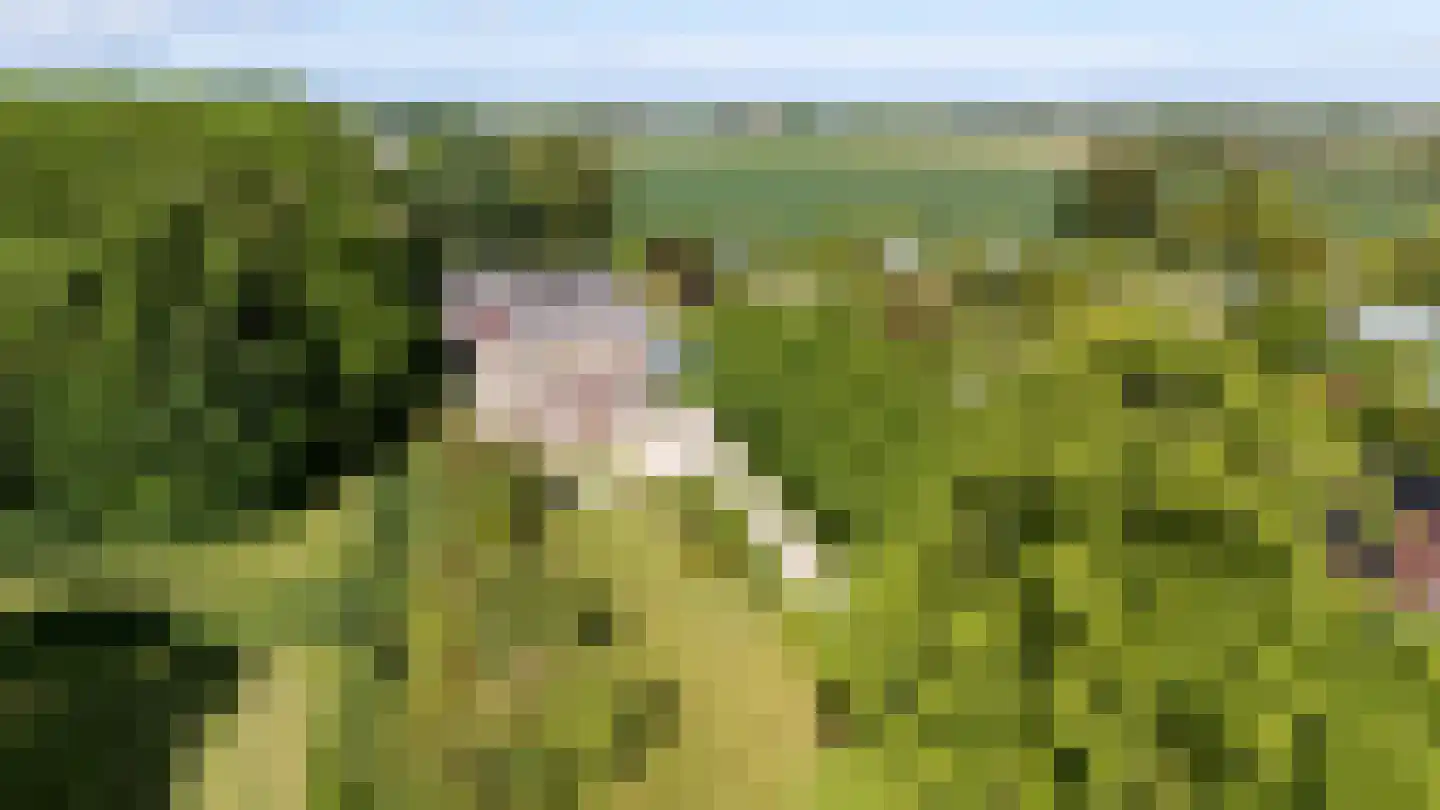 Smitsweg 1 Hellevoetsluis thumbnail 6