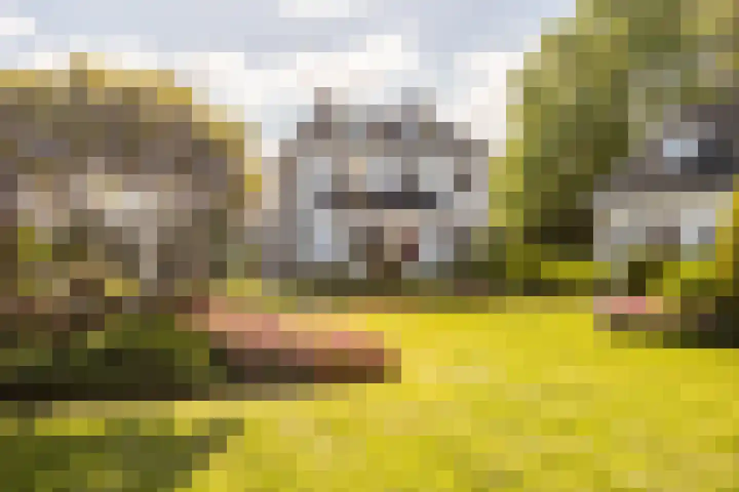 Smitsweg 1 Hellevoetsluis thumbnail 62