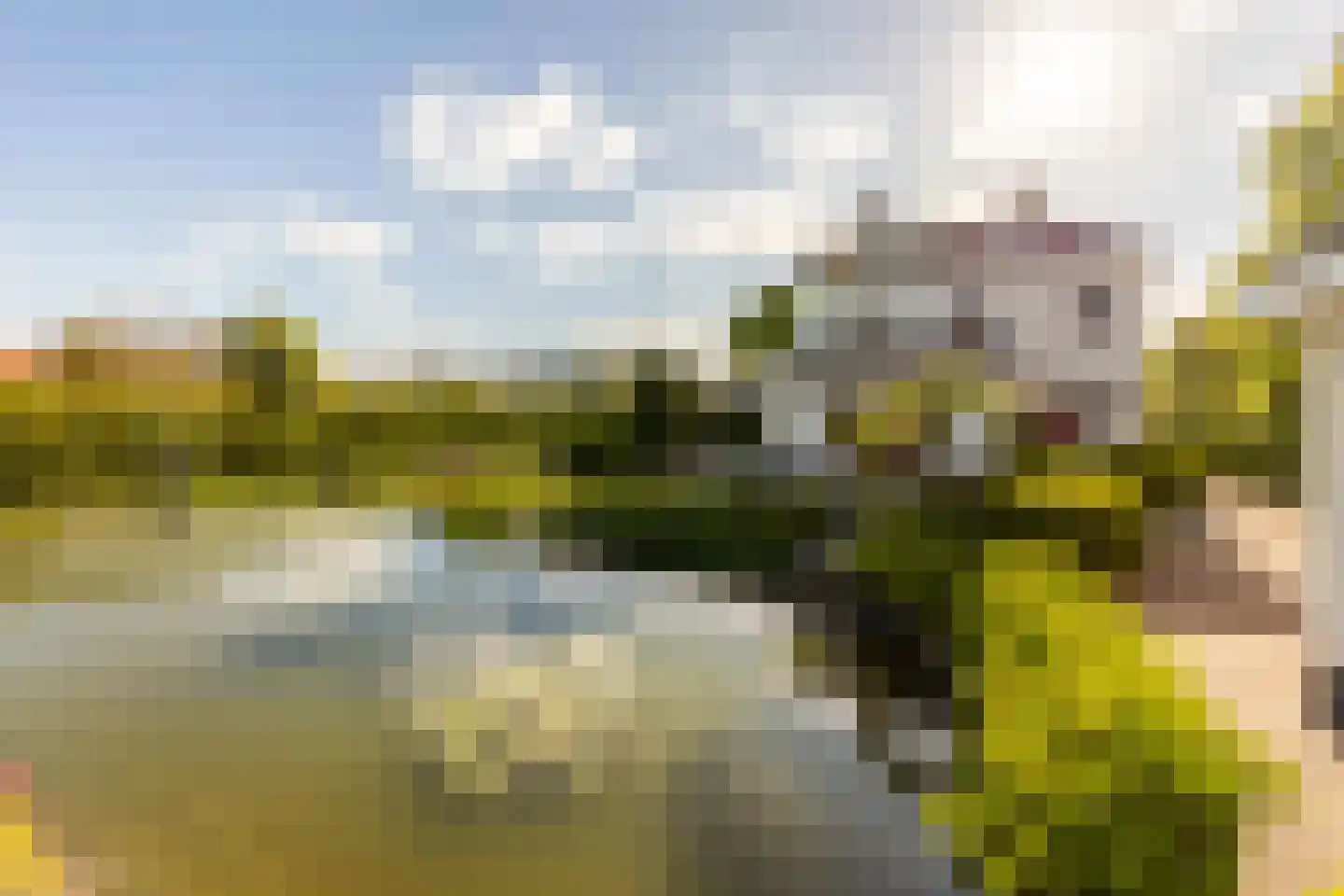Smitsweg 1 Hellevoetsluis thumbnail 63