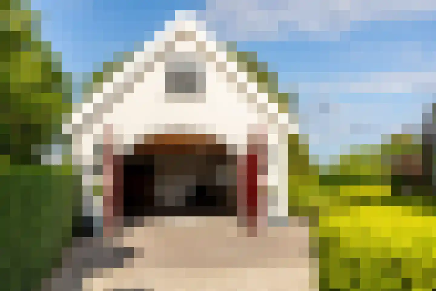 Smitsweg 1 Hellevoetsluis thumbnail 66
