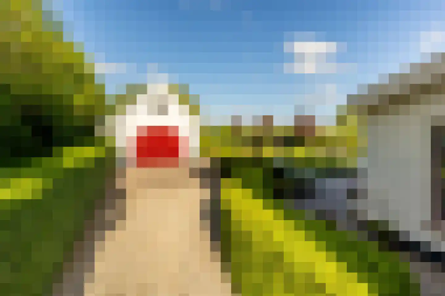Smitsweg 1 Hellevoetsluis thumbnail 68