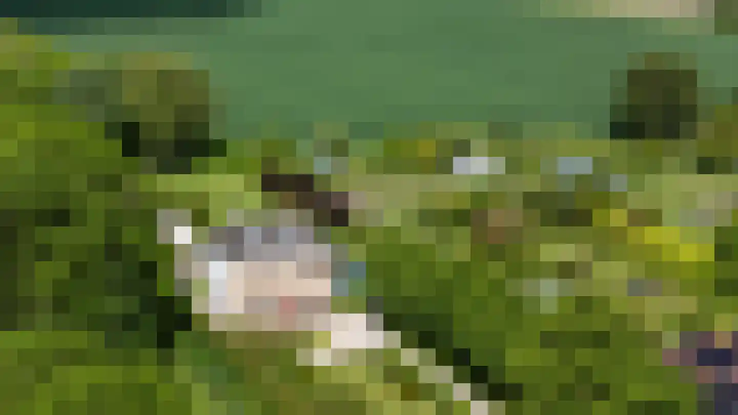 Smitsweg 1 Hellevoetsluis thumbnail 7