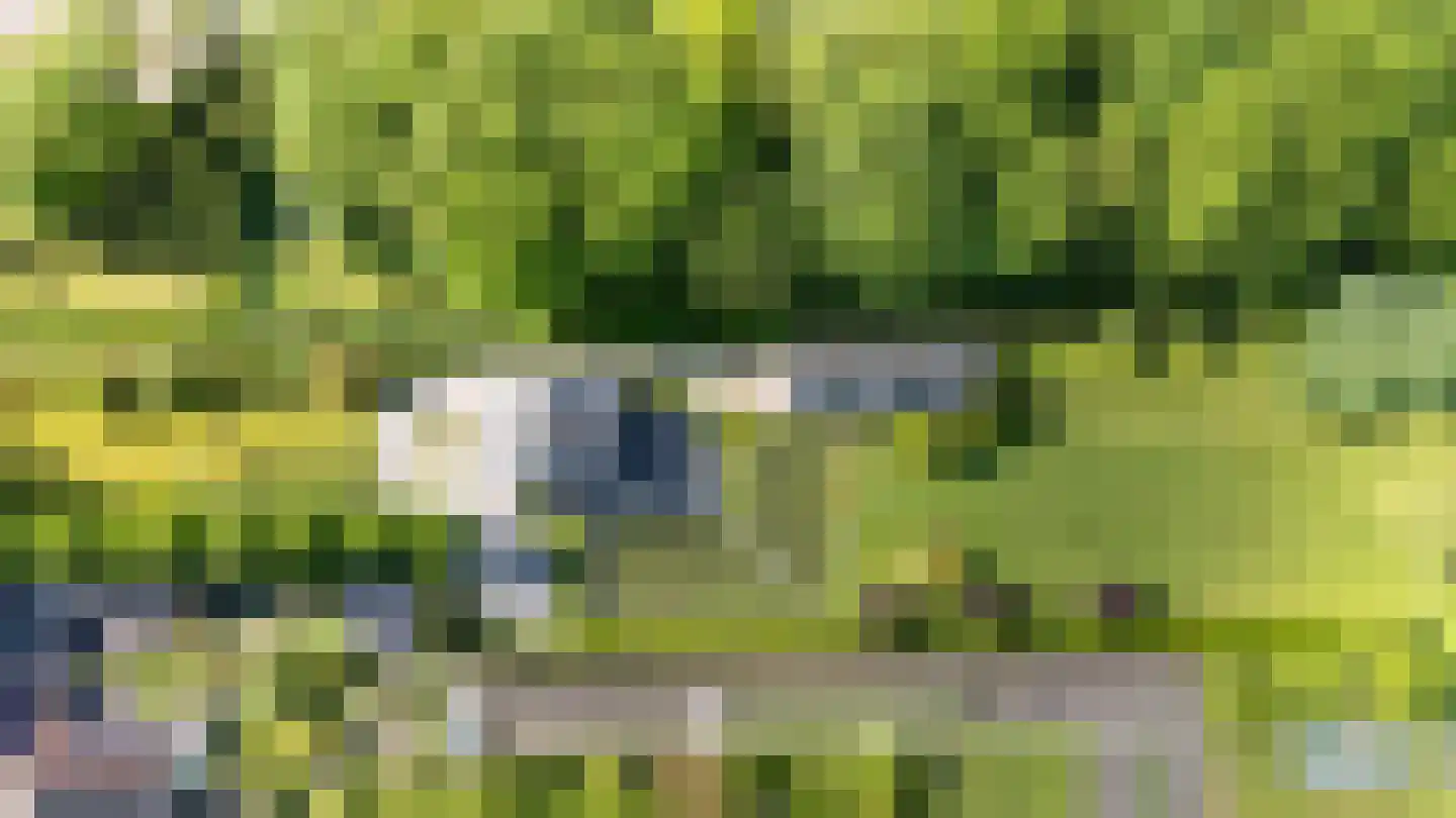 Smitsweg 1 Hellevoetsluis thumbnail 71