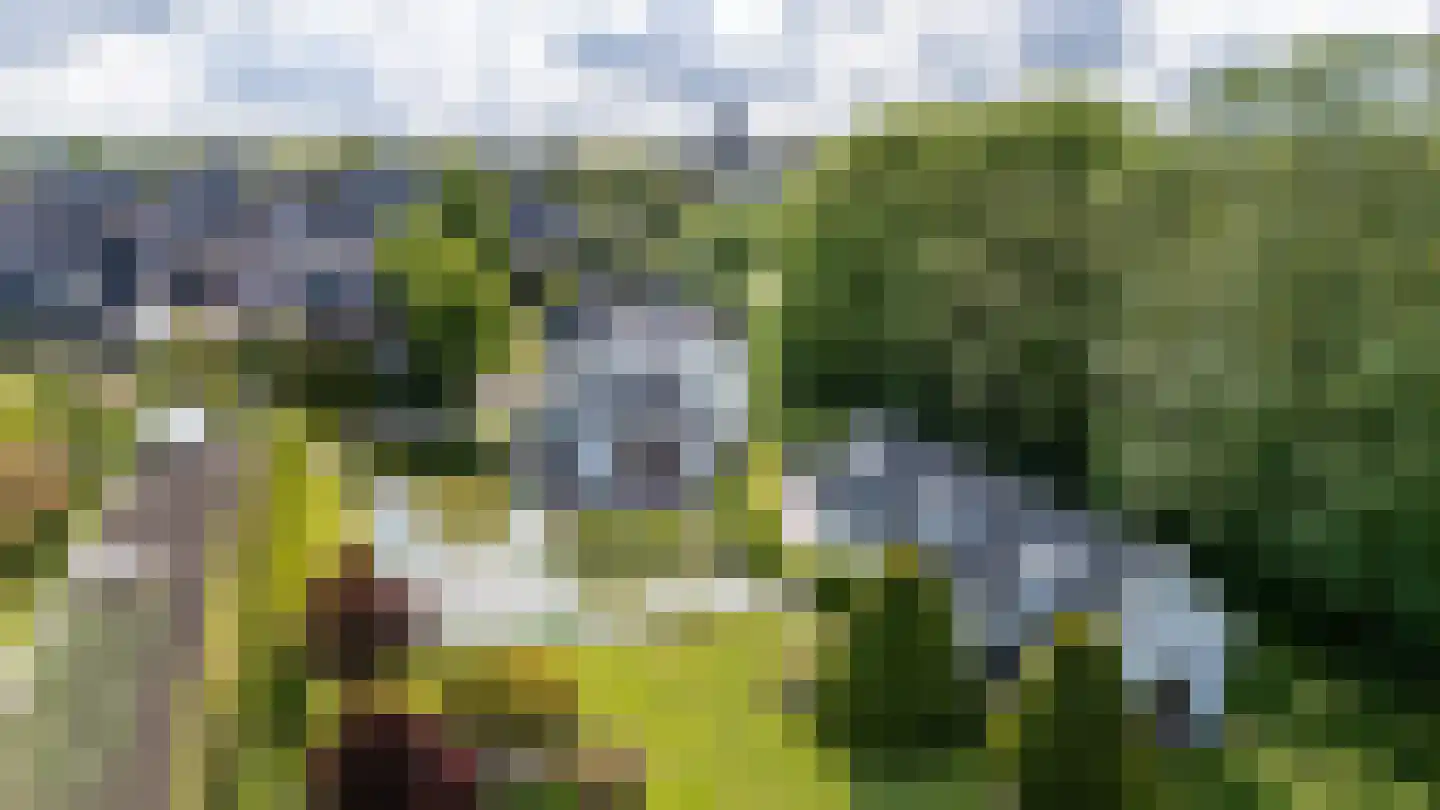 Smitsweg 1 Hellevoetsluis thumbnail 72