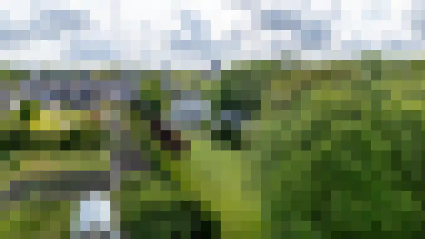 Smitsweg 1 Hellevoetsluis thumbnail 73