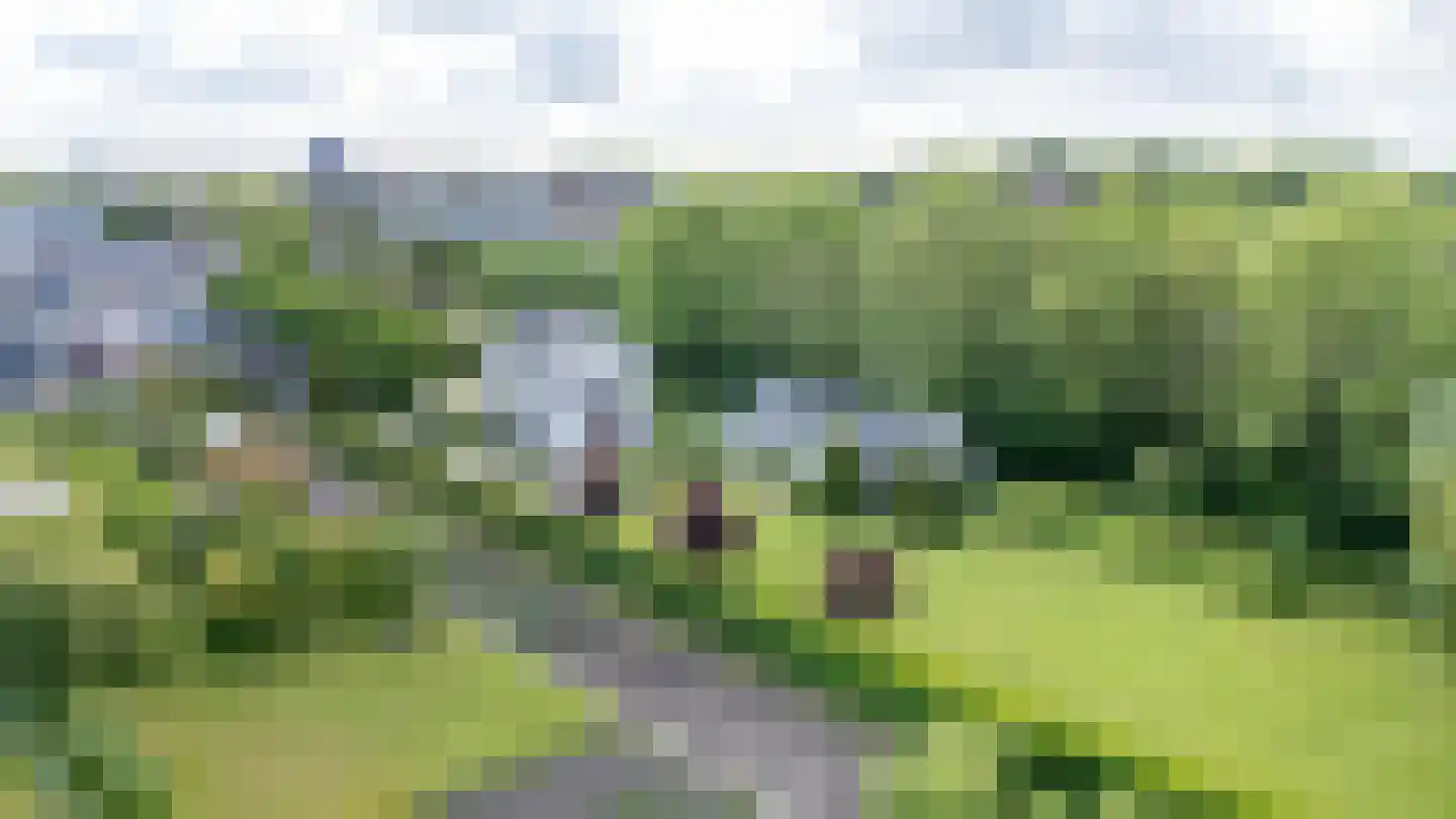 Smitsweg 1 Hellevoetsluis thumbnail 74