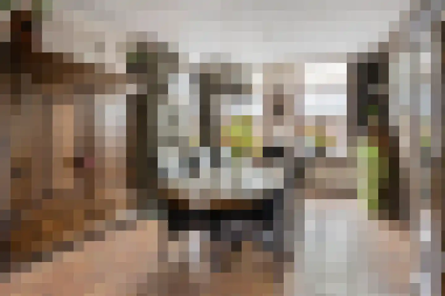 Smitsweg 2 Driewegen thumbnail 13