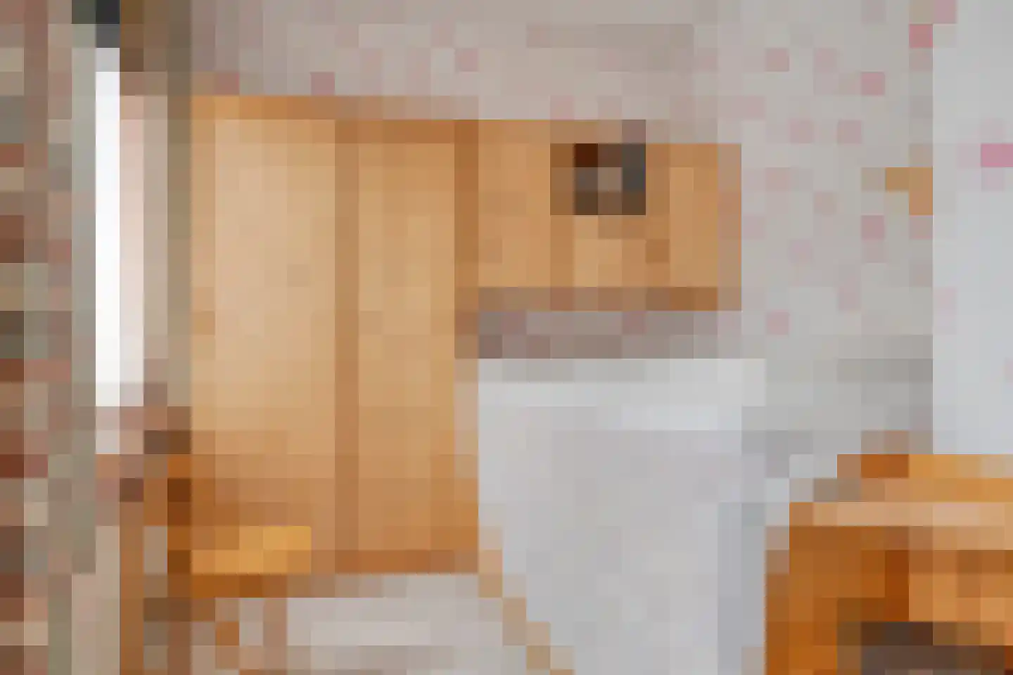 Smitsweg 2 Driewegen thumbnail 15