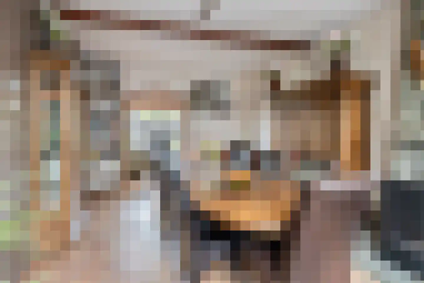 Smitsweg 2 Driewegen thumbnail 16