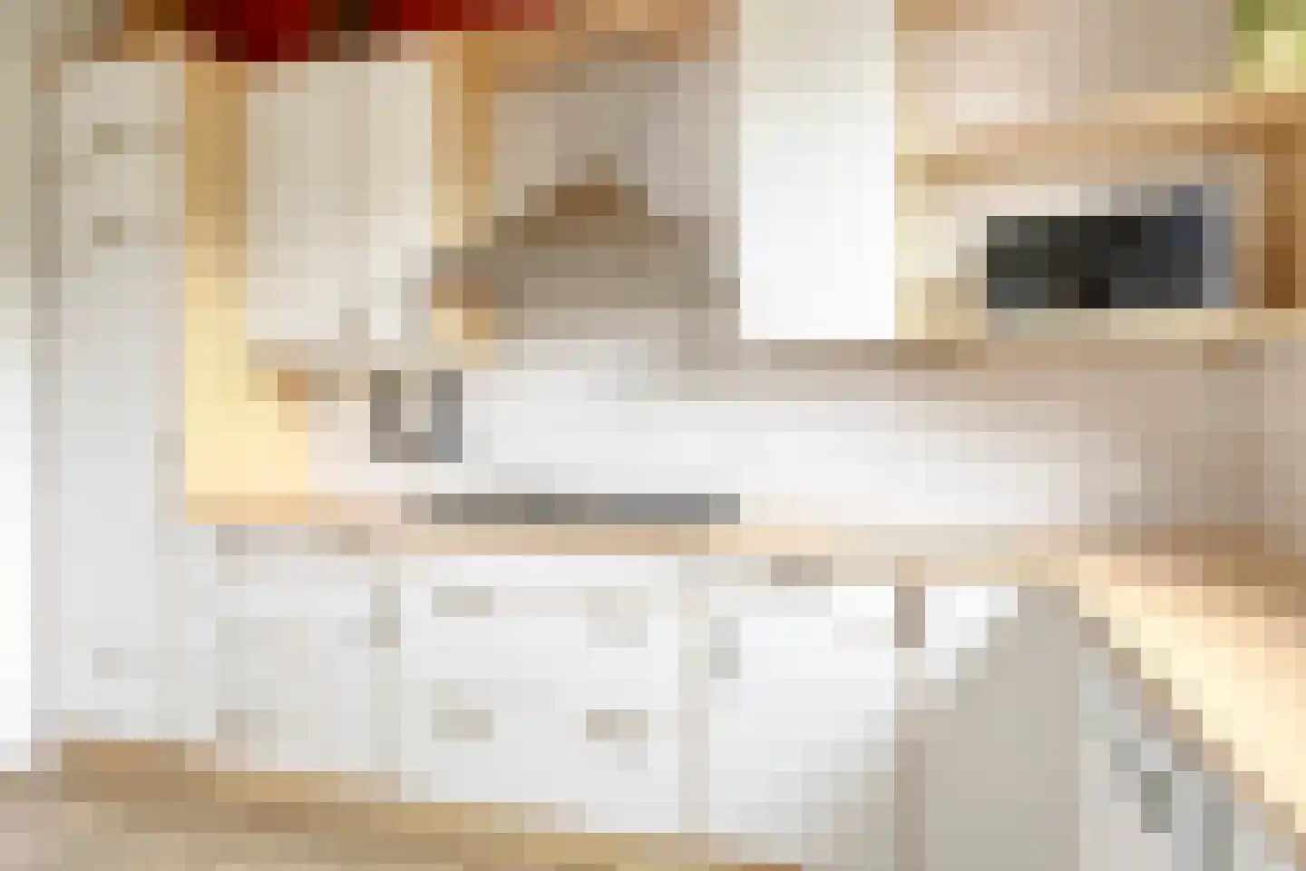 Smitsweg 2 Driewegen thumbnail 20