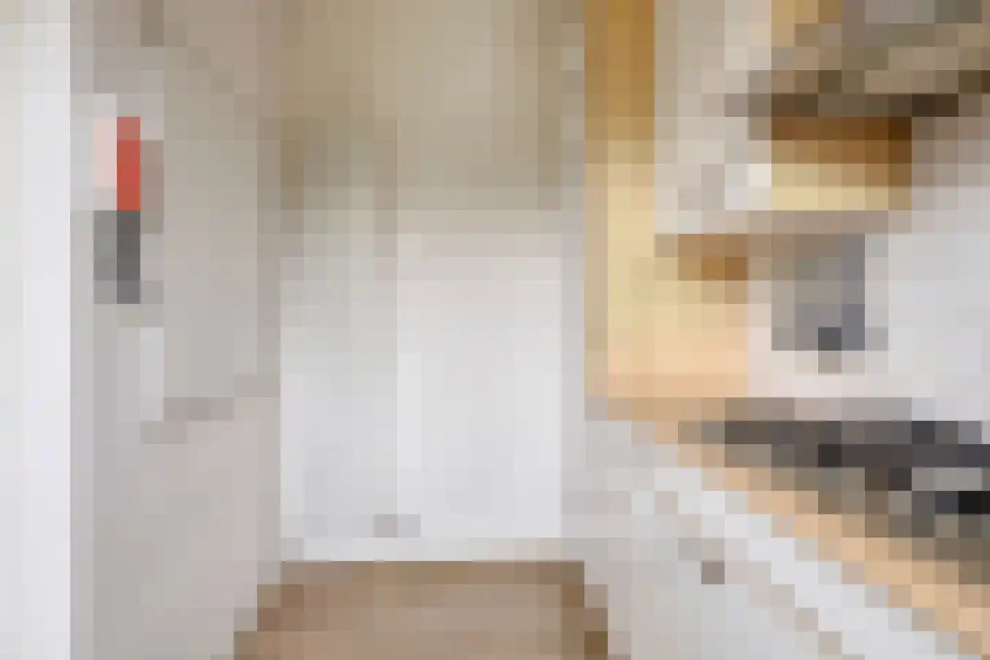 Smitsweg 2 Driewegen thumbnail 21