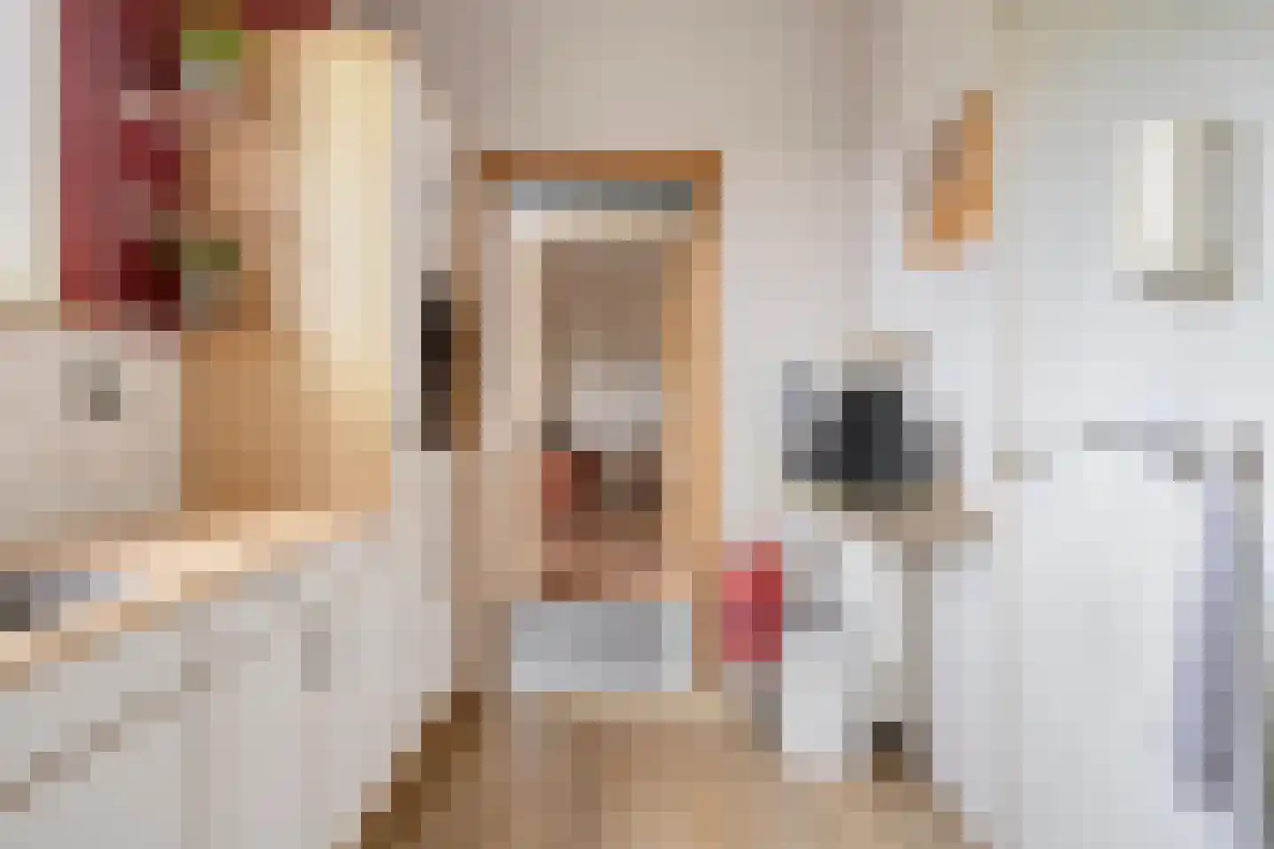 Smitsweg 2 Driewegen thumbnail 22