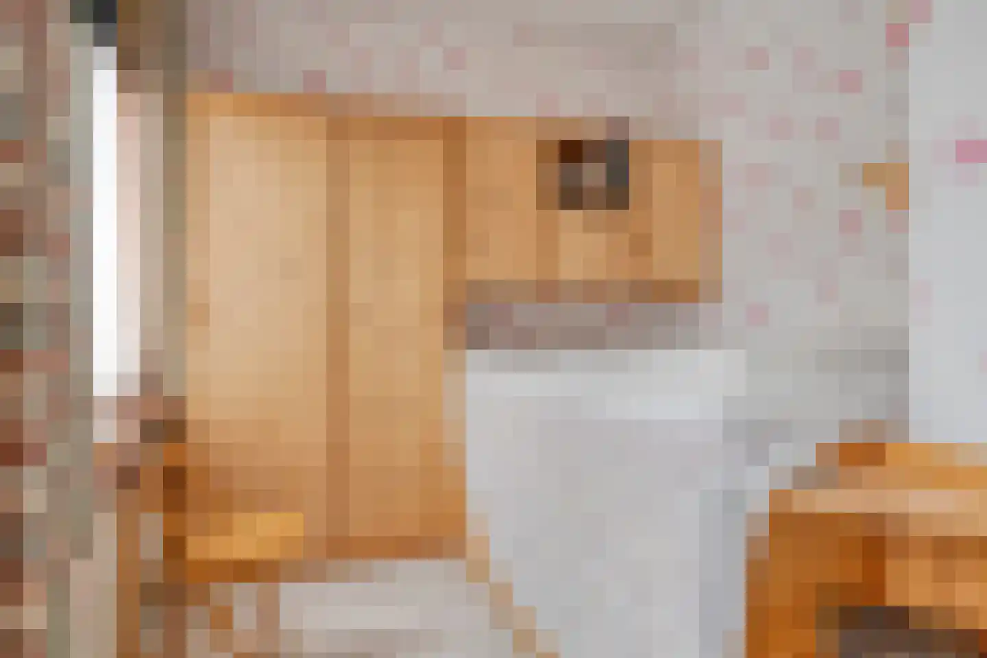 Smitsweg 2 Driewegen thumbnail 23