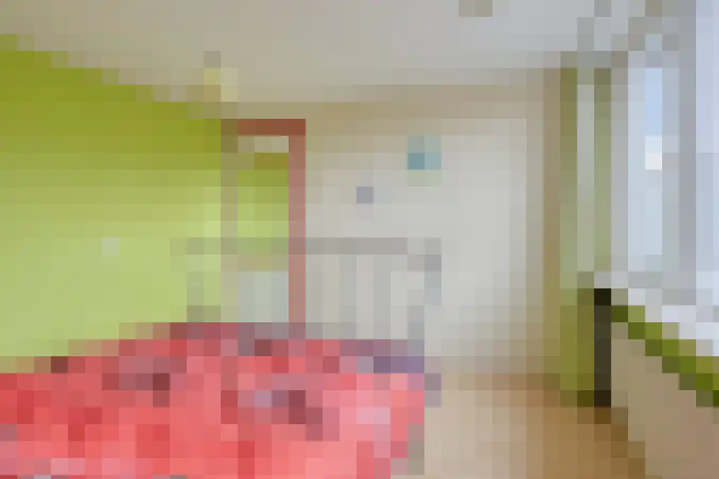Smitsweg 2 Driewegen thumbnail 28