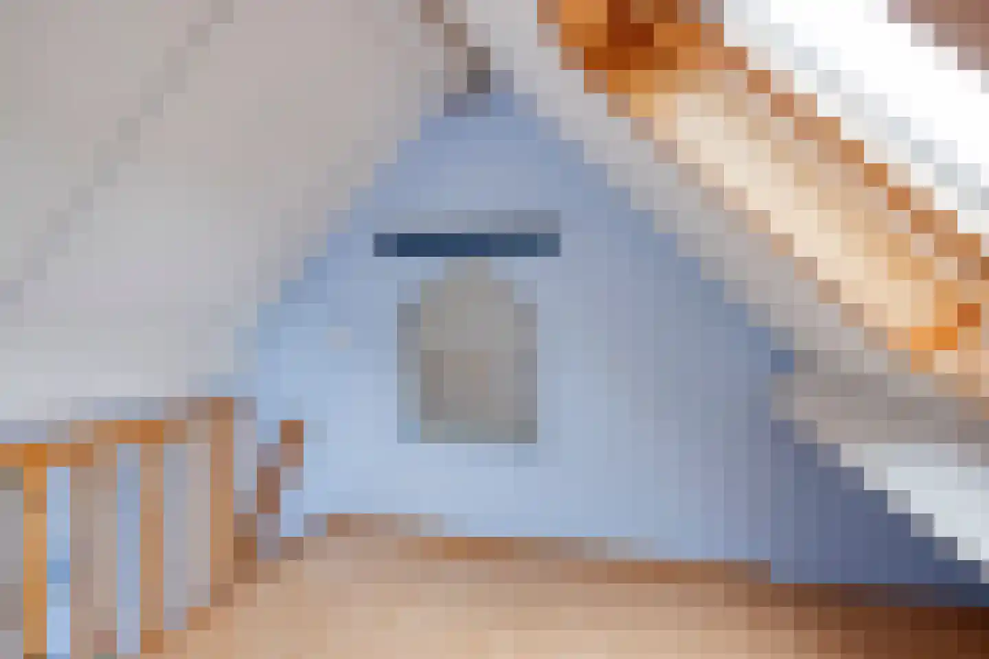 Smitsweg 2 Driewegen thumbnail 39