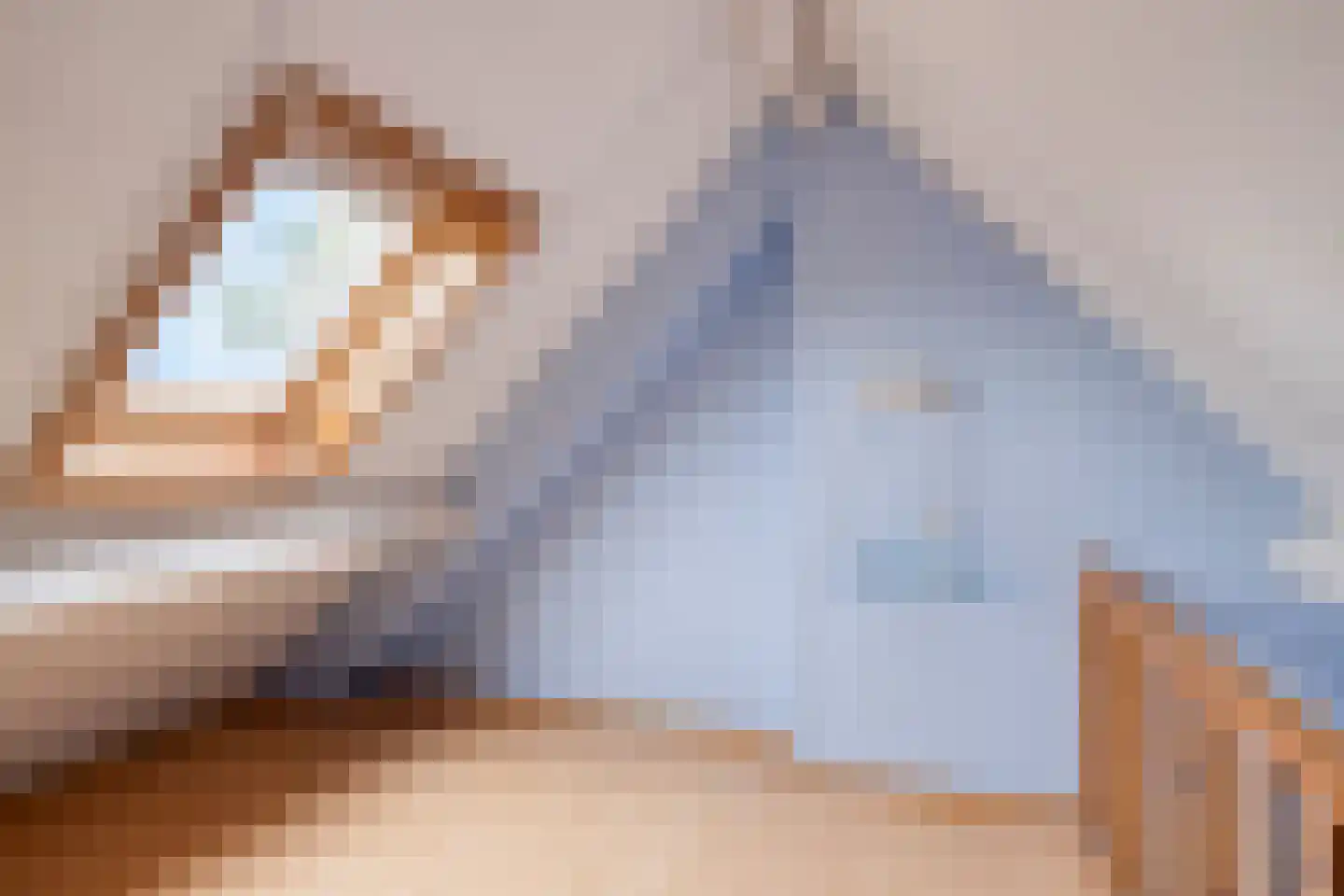 Smitsweg 2 Driewegen thumbnail 40