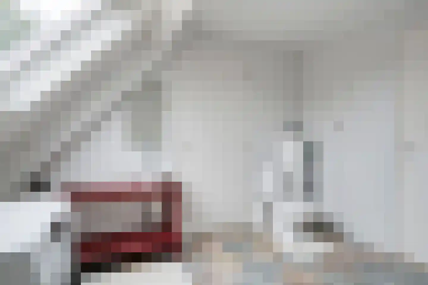 Smitsweg 2 Driewegen thumbnail 42