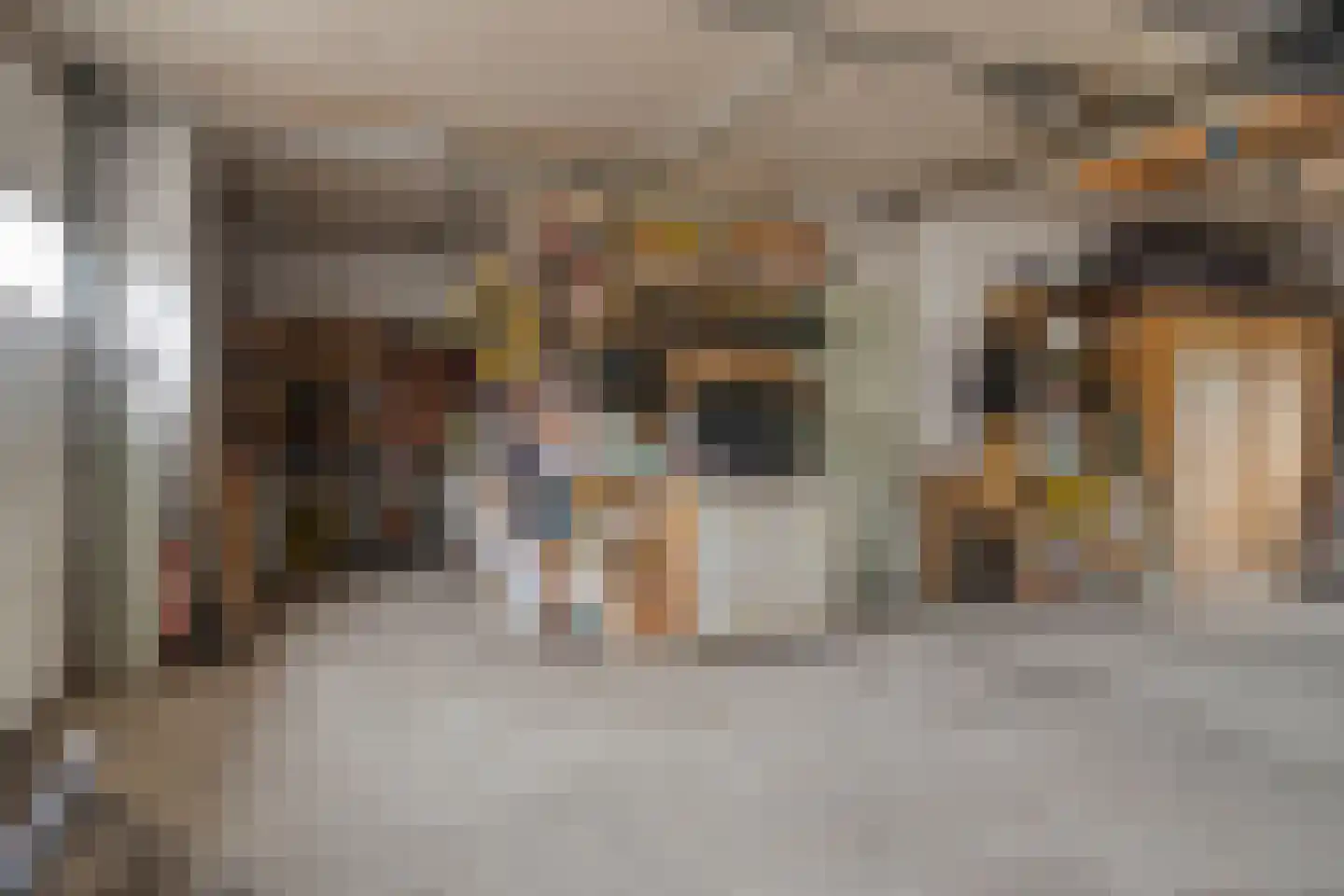 Smitsweg 2 Driewegen thumbnail 44