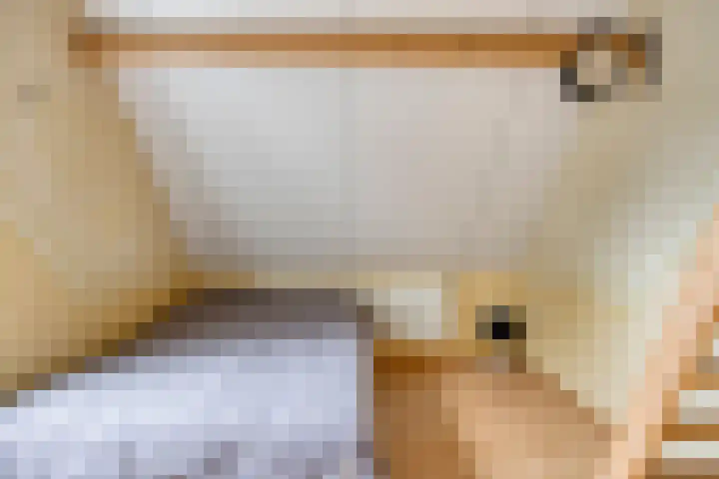 Smitsweg 2 Driewegen thumbnail 50