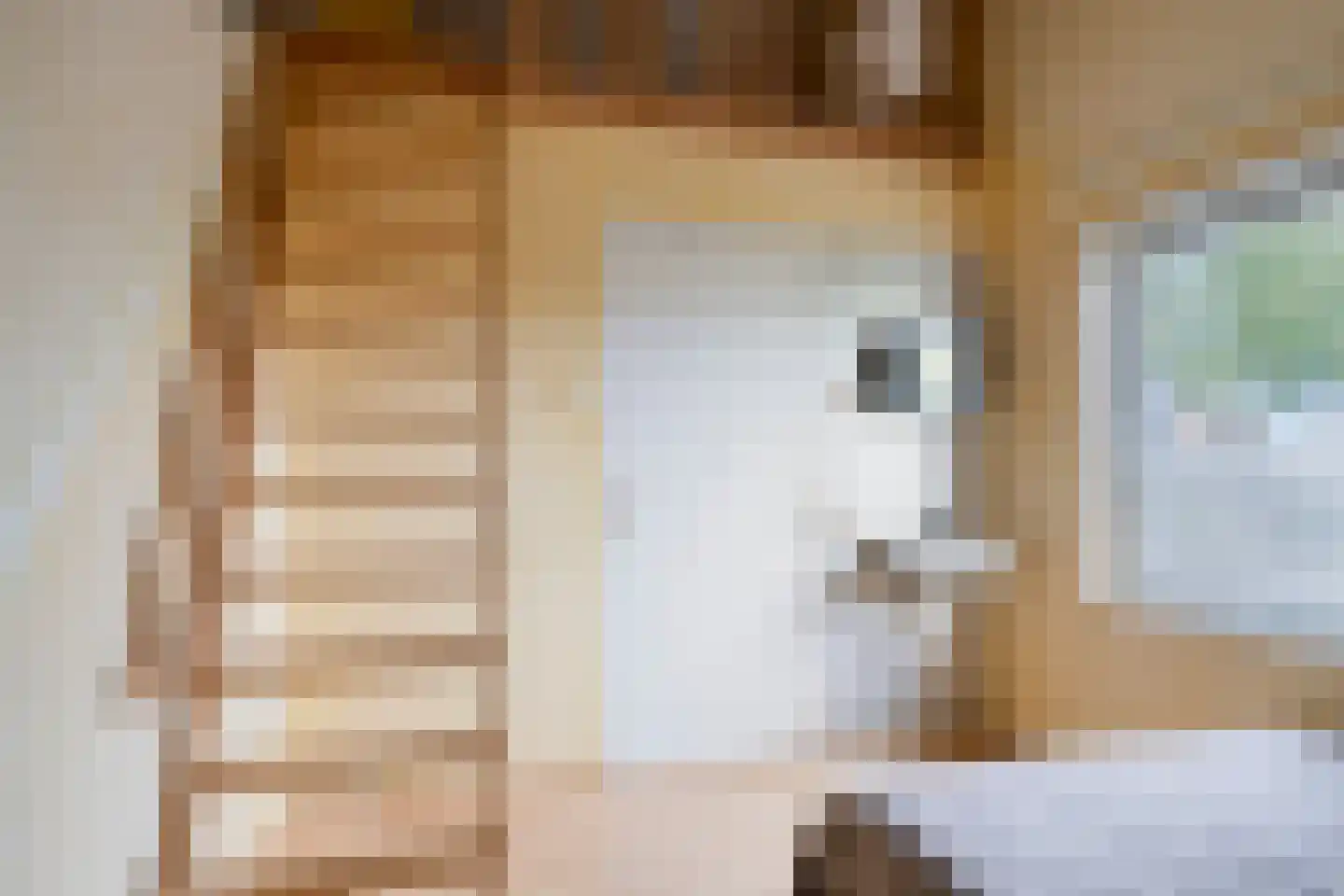Smitsweg 2 Driewegen thumbnail 51