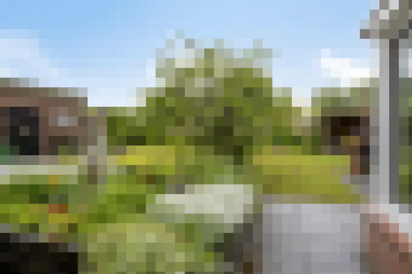 Smitsweg 2 Driewegen thumbnail 57