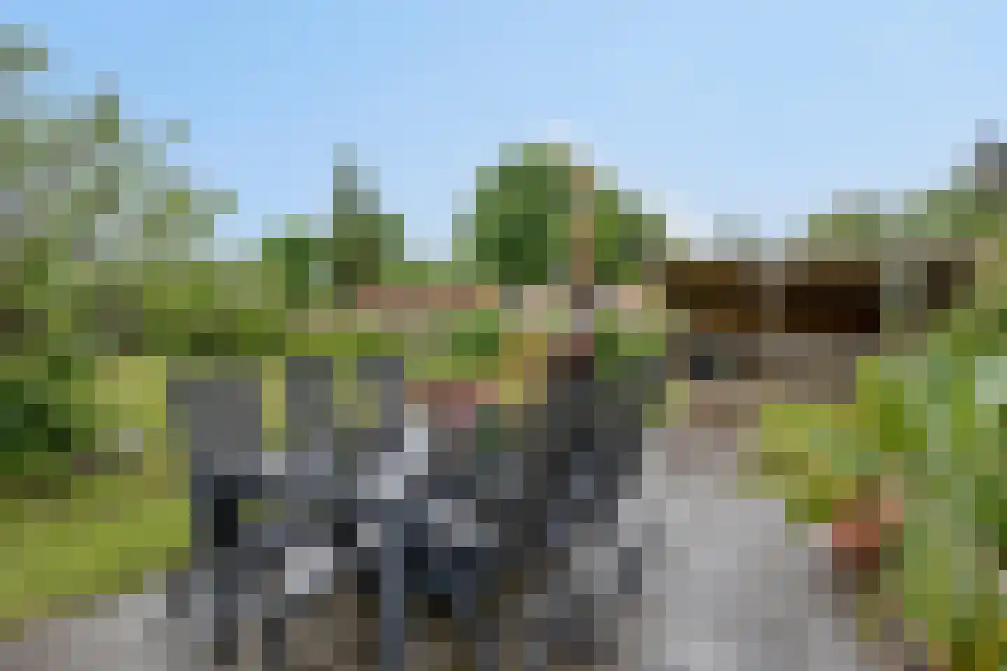 Smitsweg 2 Driewegen thumbnail 58