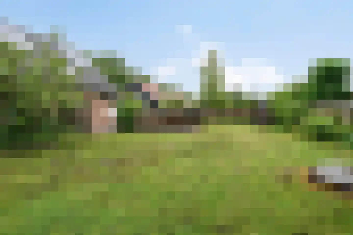 Smitsweg 2 Driewegen thumbnail 61