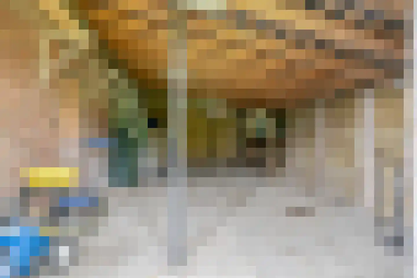 Smitsweg 2 Driewegen thumbnail 68