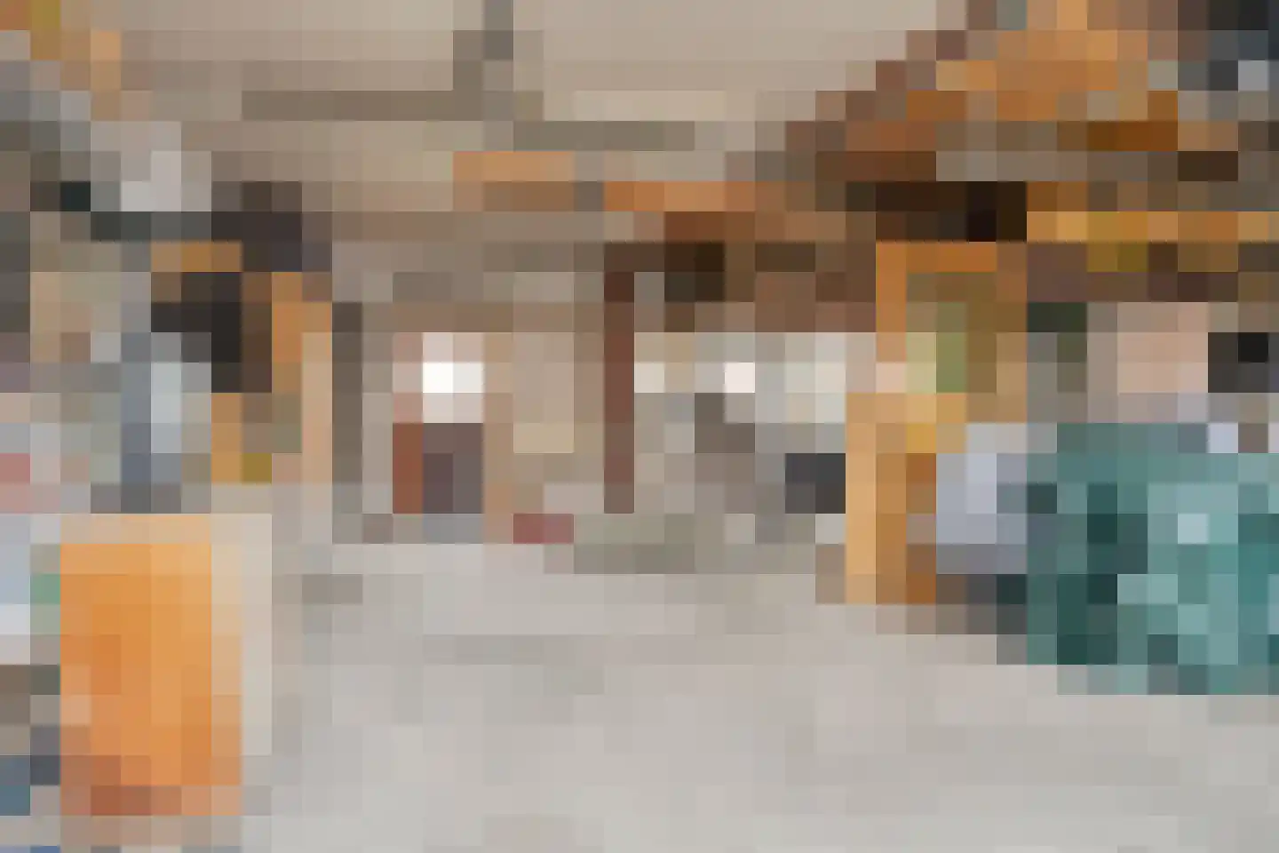 Smitsweg 2 Driewegen thumbnail 71