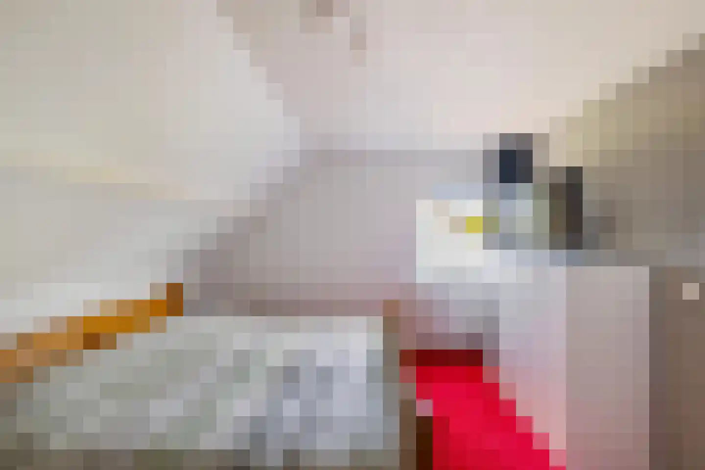 Smitsweg 32 Uithuizermeeden thumbnail 21