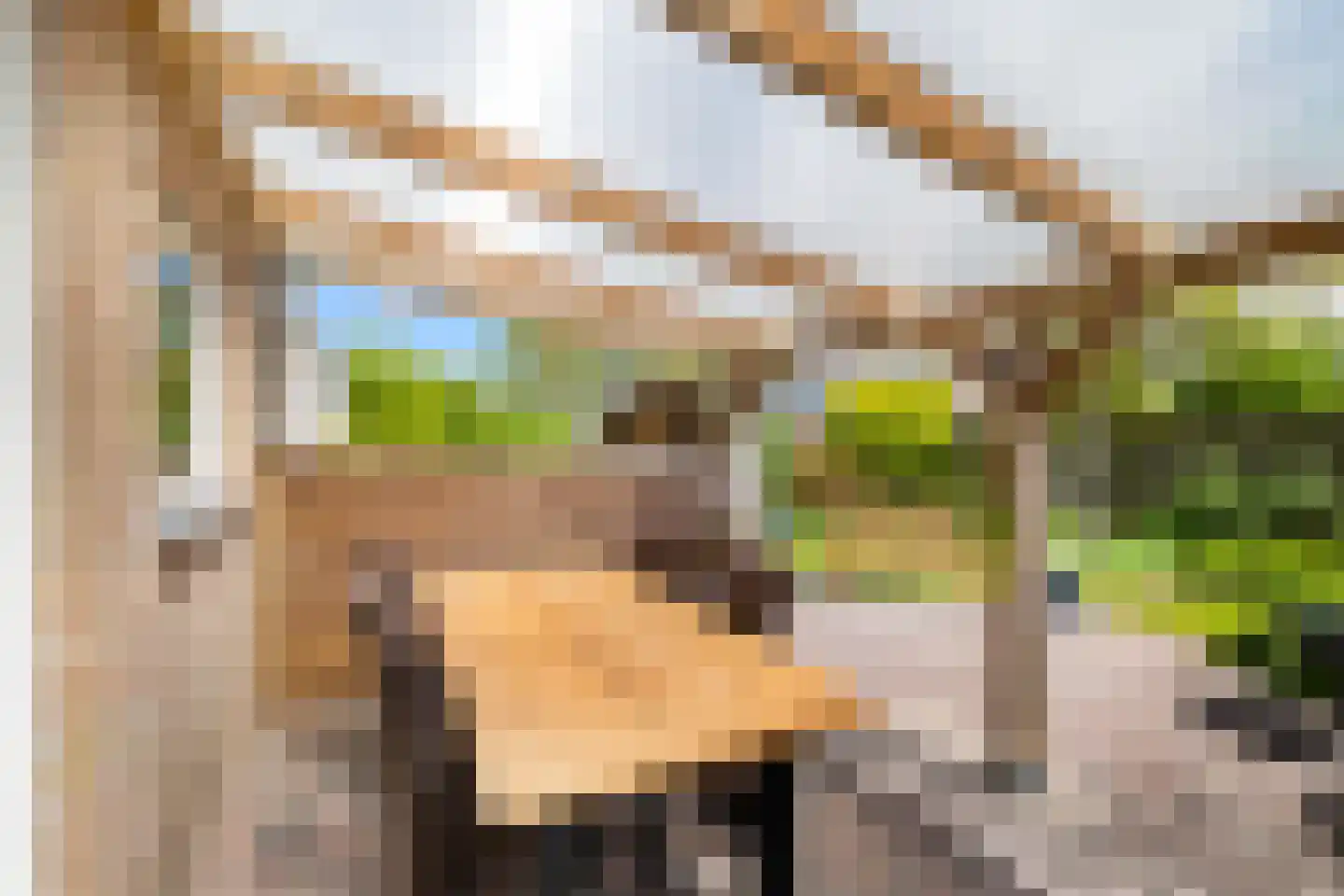 Smitsweg 32 Uithuizermeeden thumbnail 28