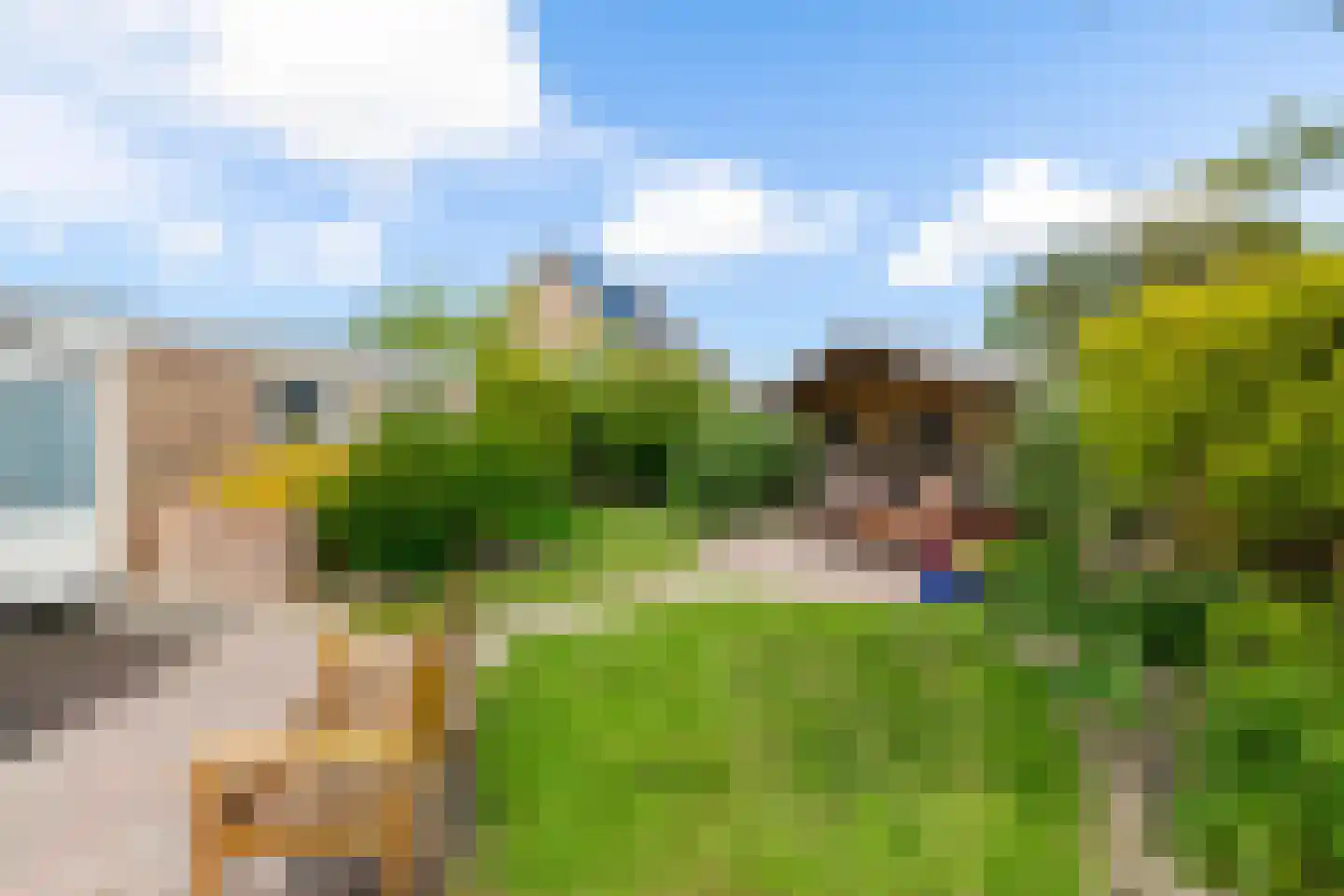 Smitsweg 32 Uithuizermeeden thumbnail 30