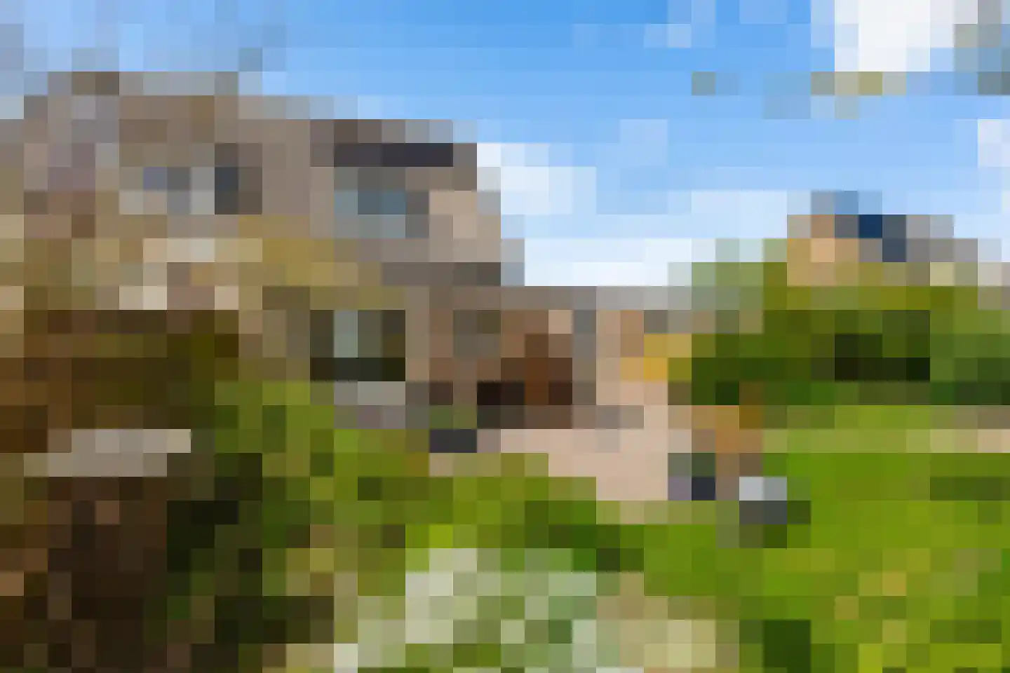 Smitsweg 32 Uithuizermeeden thumbnail 32