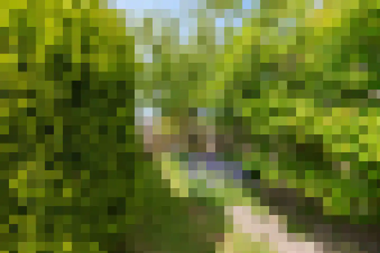 Smitsweg 32 Uithuizermeeden thumbnail 33