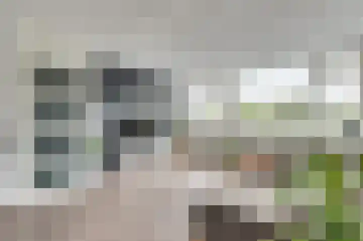 Smitsweide 100 Doesburg thumbnail 13