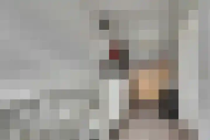Smitsweide 100 Doesburg thumbnail 19