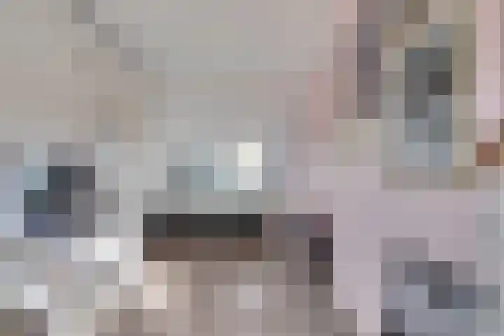 Smitsweide 100 Doesburg thumbnail 21