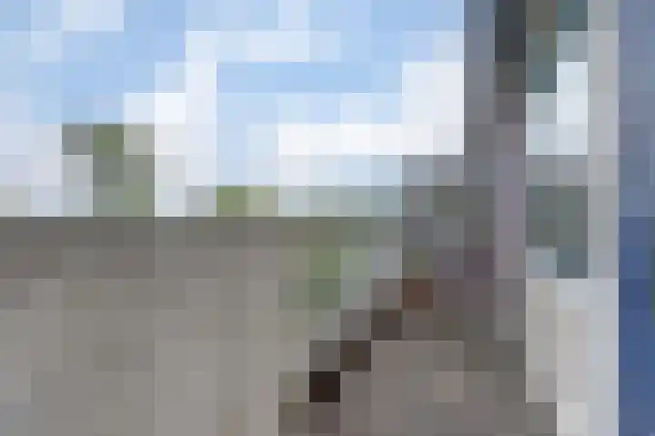 Smitsweide 100 Doesburg thumbnail 22