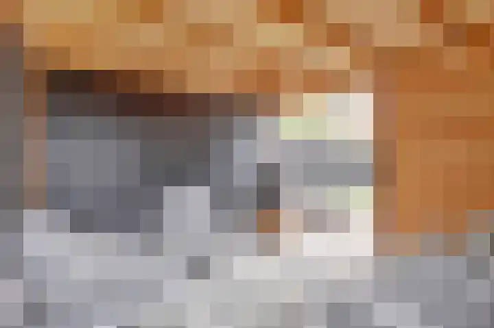Smitsweide 100 Doesburg thumbnail 23