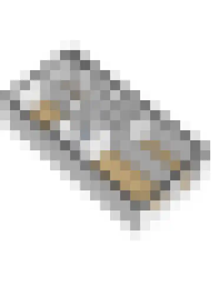 Smitsweide 100 Doesburg thumbnail 33