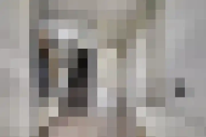 Smitsweide 100 Doesburg thumbnail 4