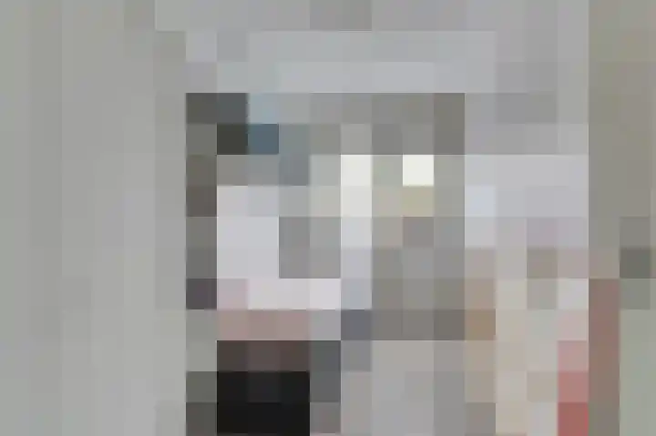 Smitsweide 100 Doesburg thumbnail 9