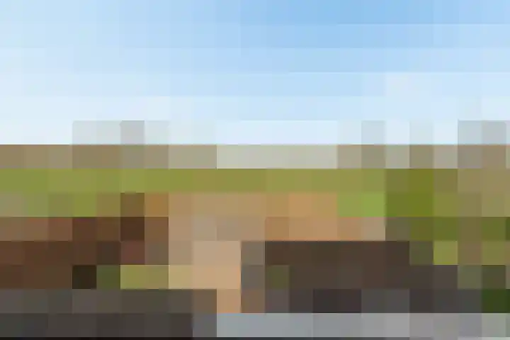 Smitsweide 46 Doesburg thumbnail 13