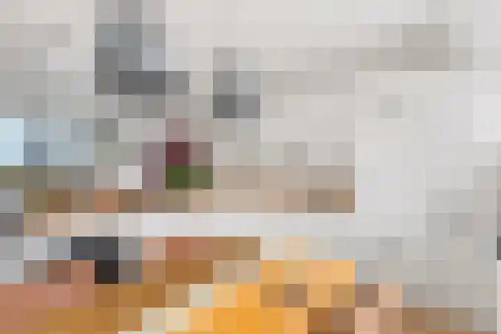 Smitsweide 46 Doesburg thumbnail 18
