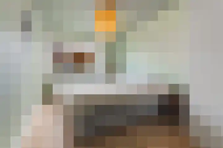 Smitsweide 46 Doesburg thumbnail 20