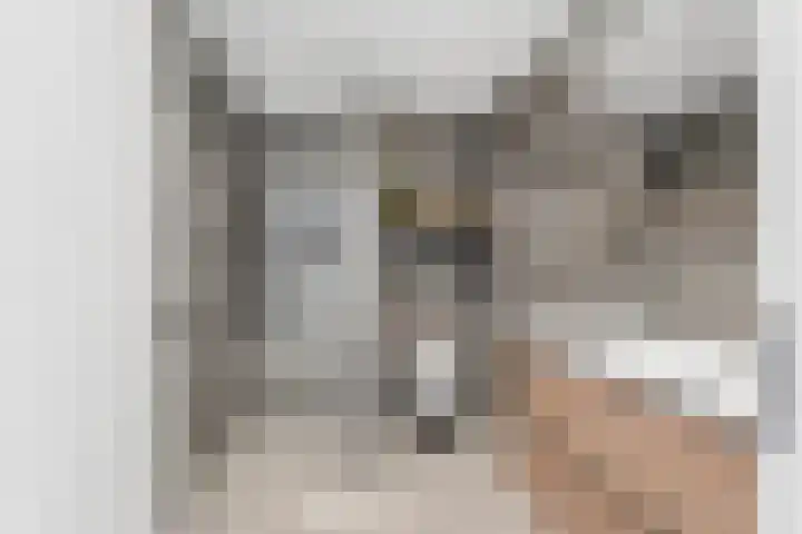 Smitsweide 46 Doesburg thumbnail 26