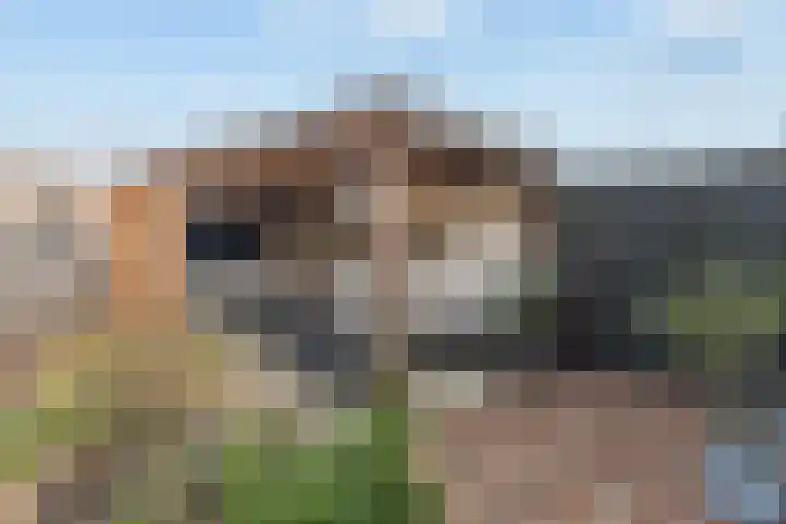 Smitsweide 46 Doesburg thumbnail 32